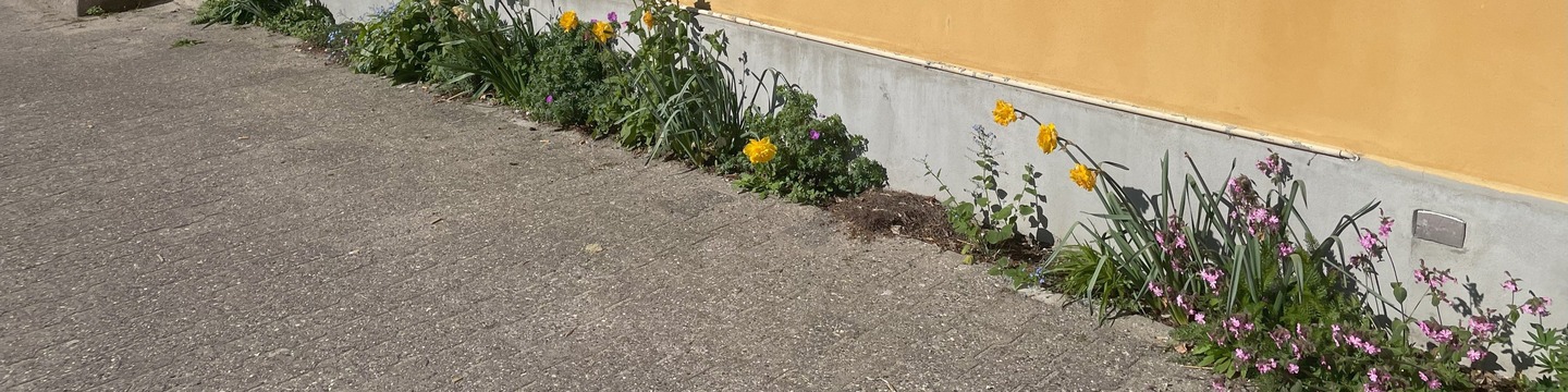 Billeder langs husmur i Dronningensgade